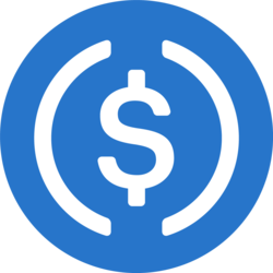 USDC logo